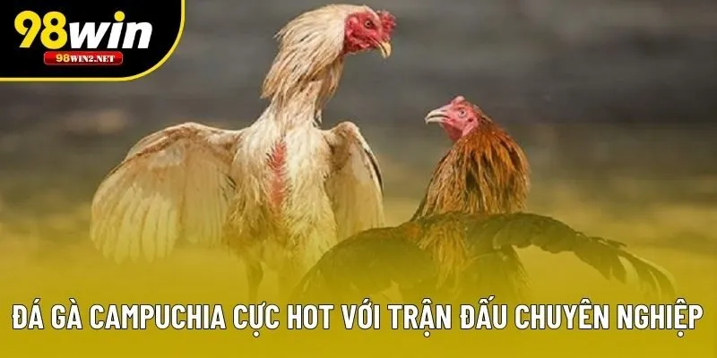 Đá Gà Campuchia