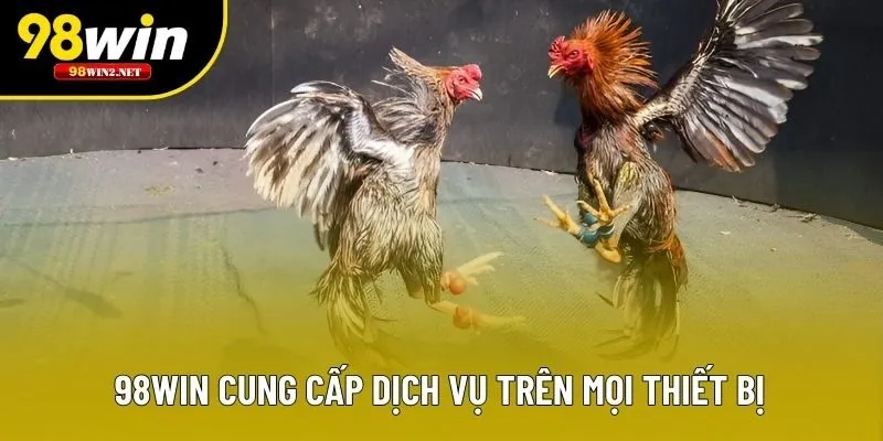 98WIN cung cấp dịch vụ trên mọi thiết bị